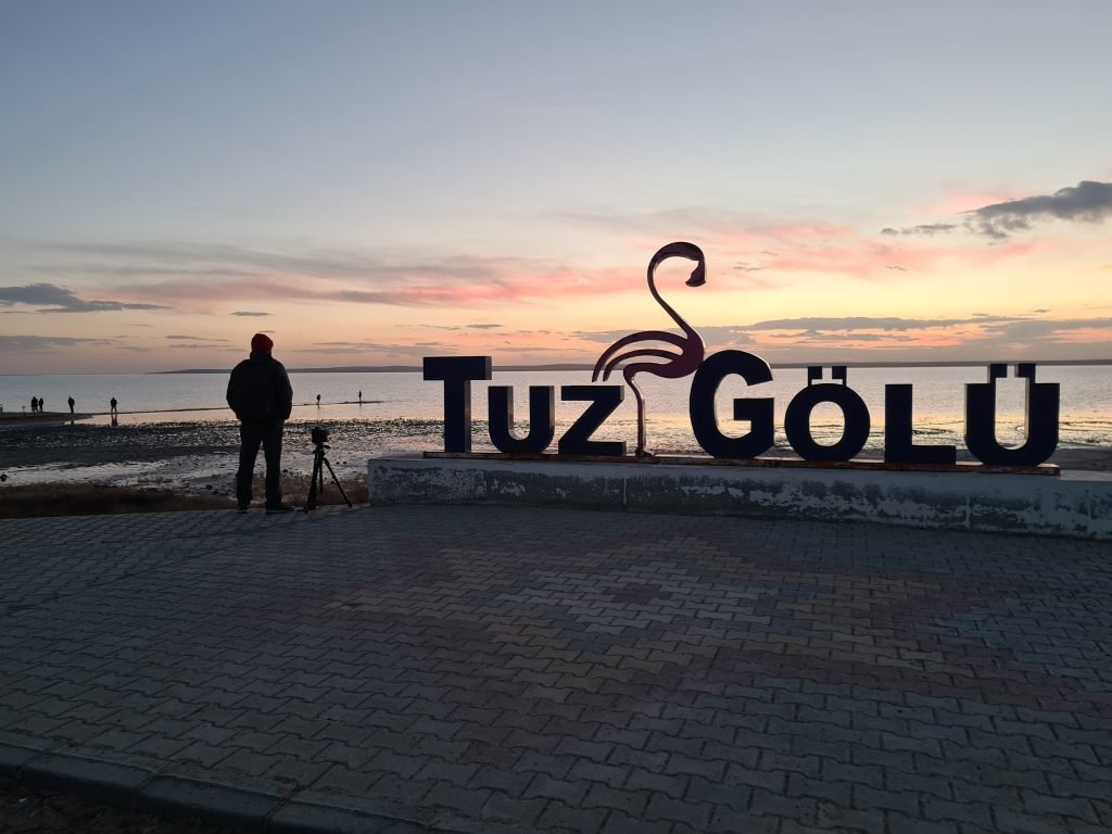 Tuz gulu