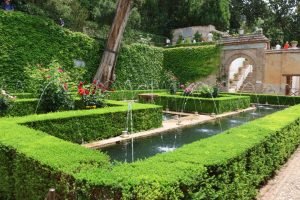 garden with fountains