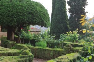 garden