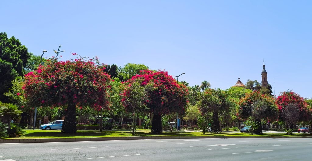 seville