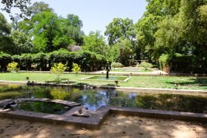 jardin