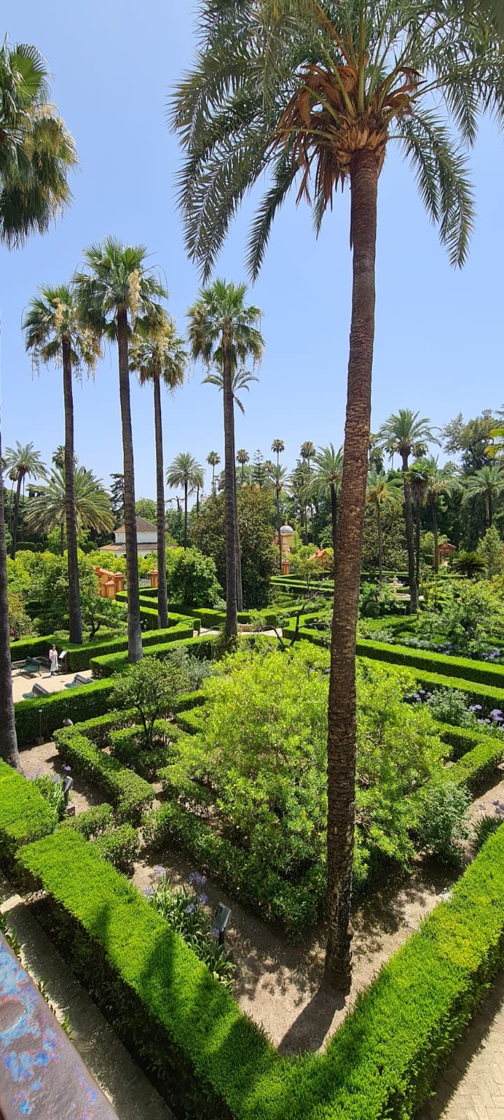 alcazar garden