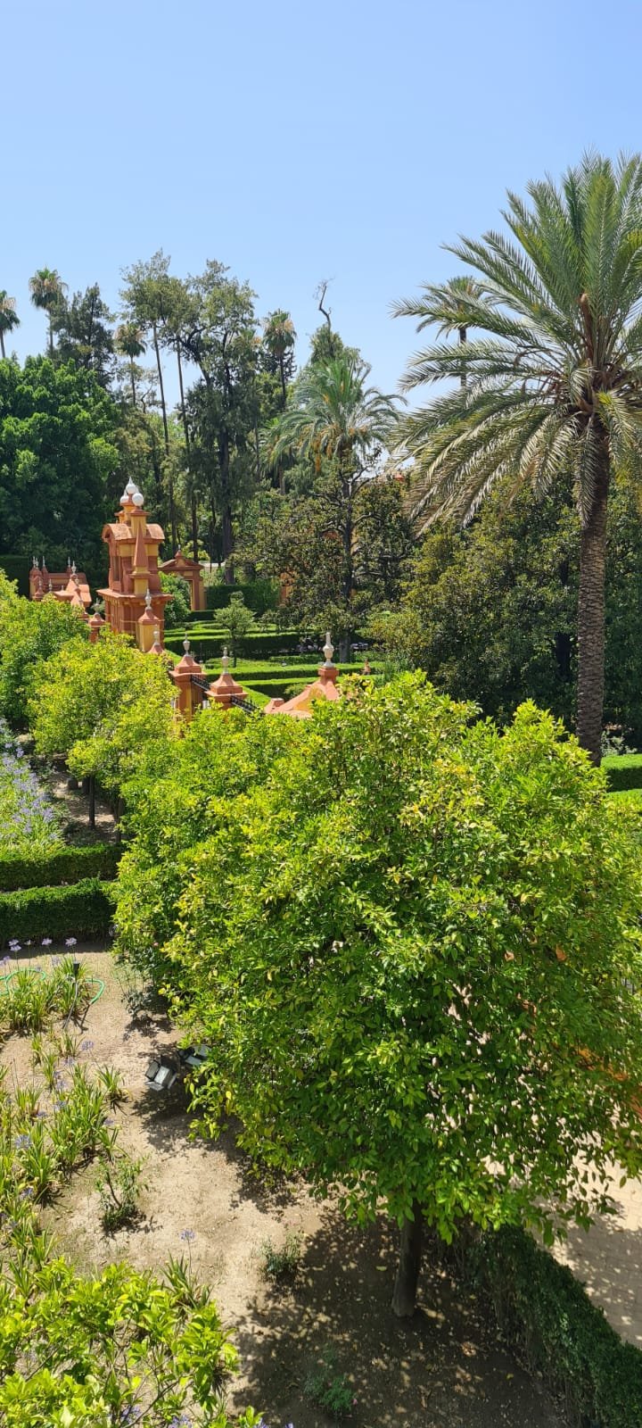 garden