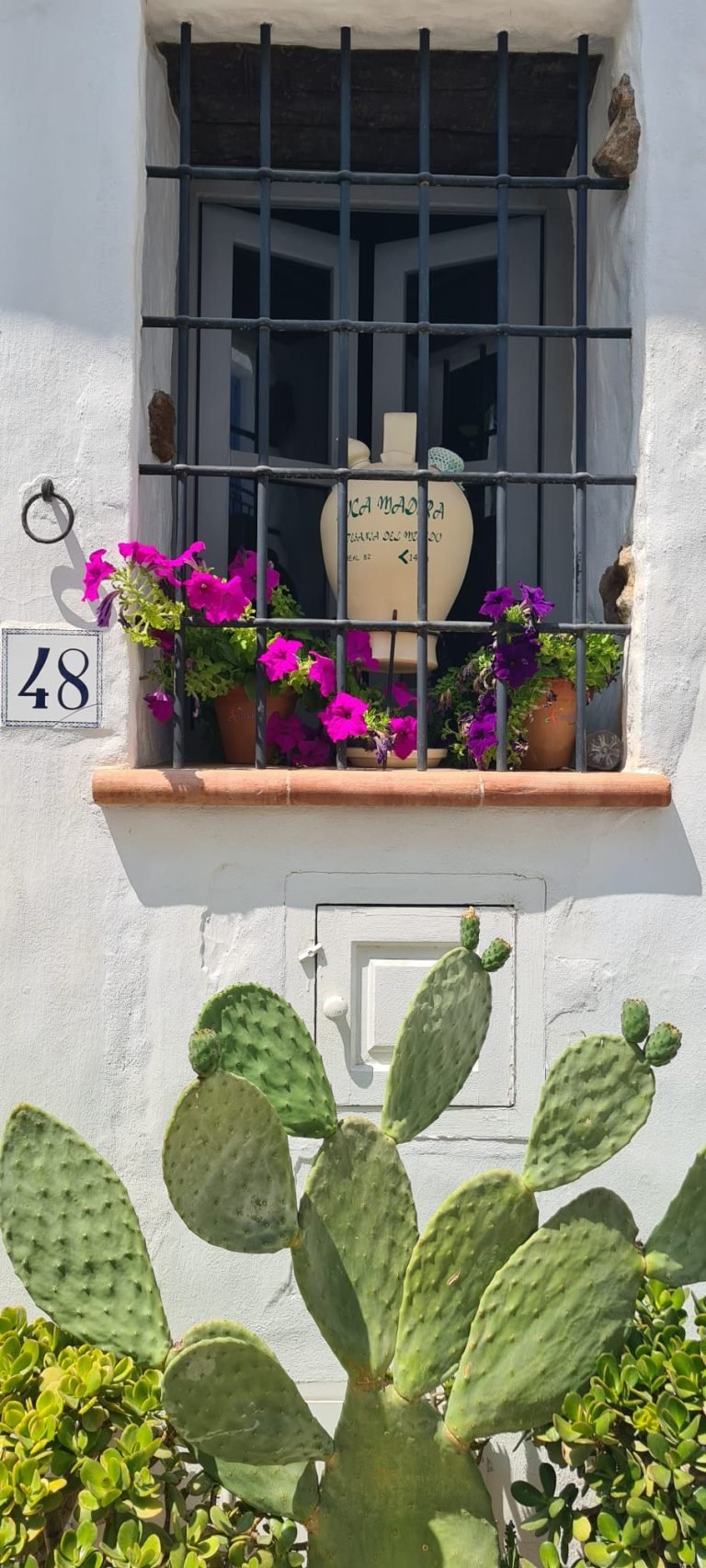 window
