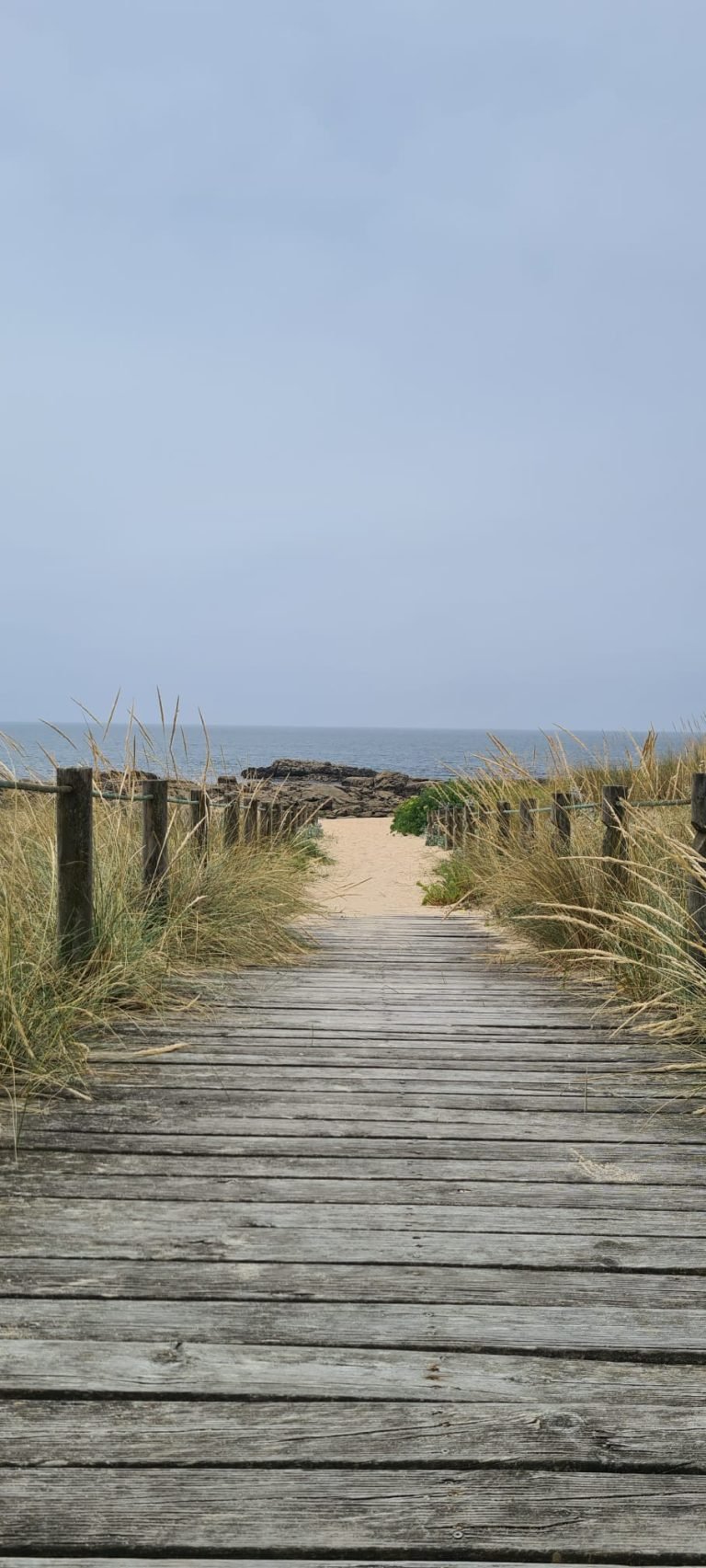 Beach trail