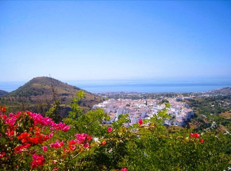 View point