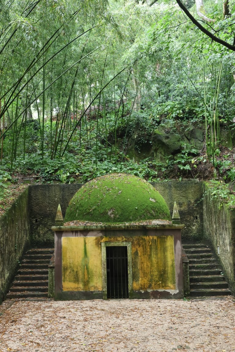 botanical garden