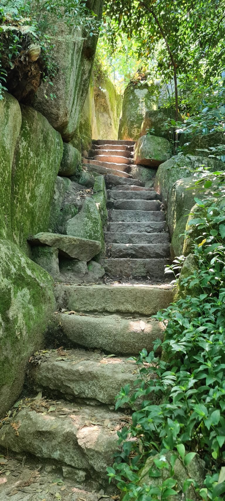 stairs