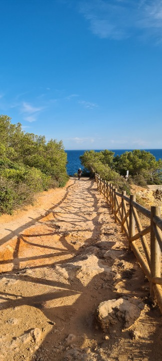 trail path