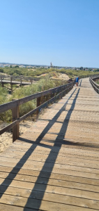 boardwalk