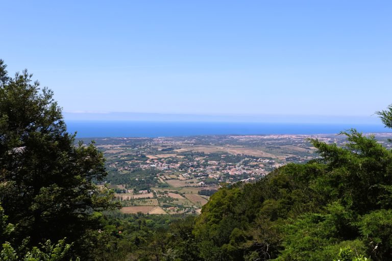 pena