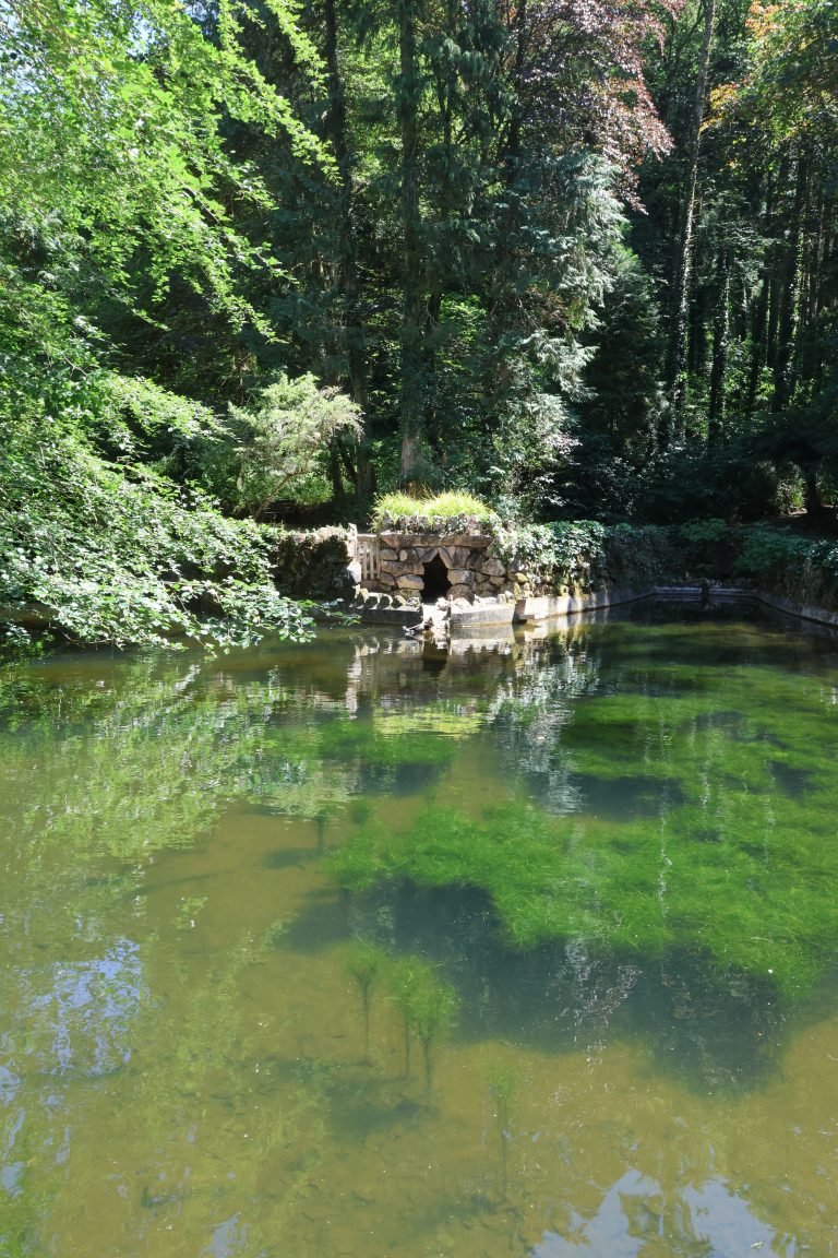 pond