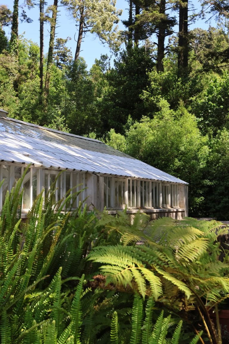 Glasshouse