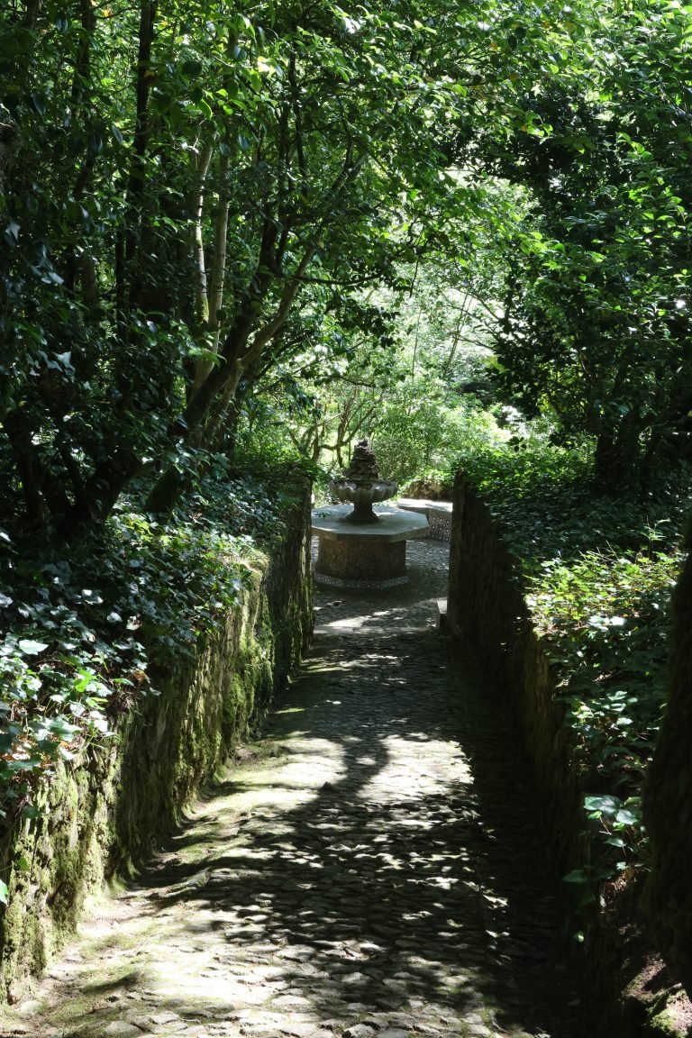 garden