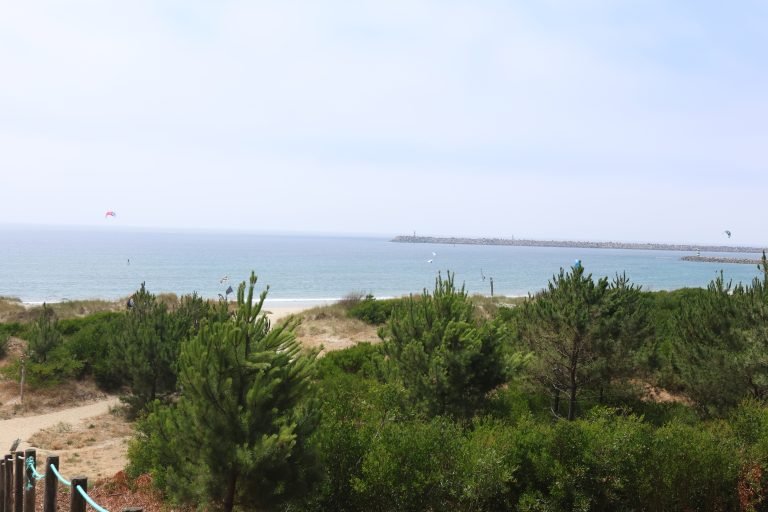 ocean