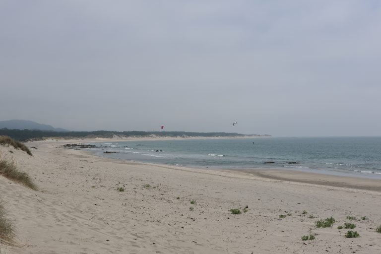 ocean