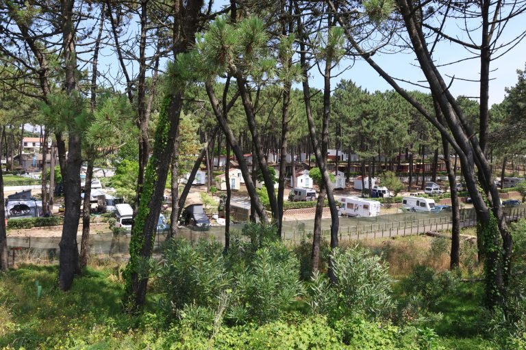camp