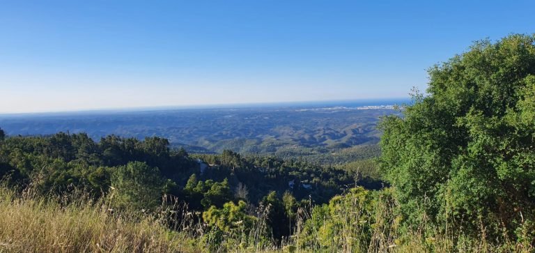 mountain view
