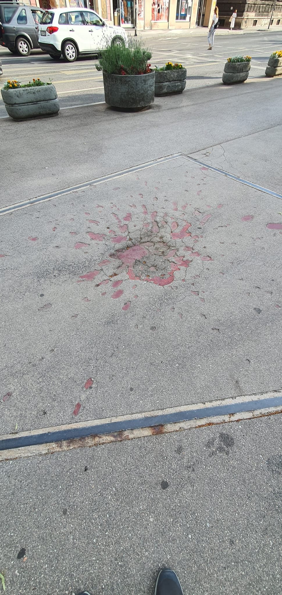 Sarajevo roses