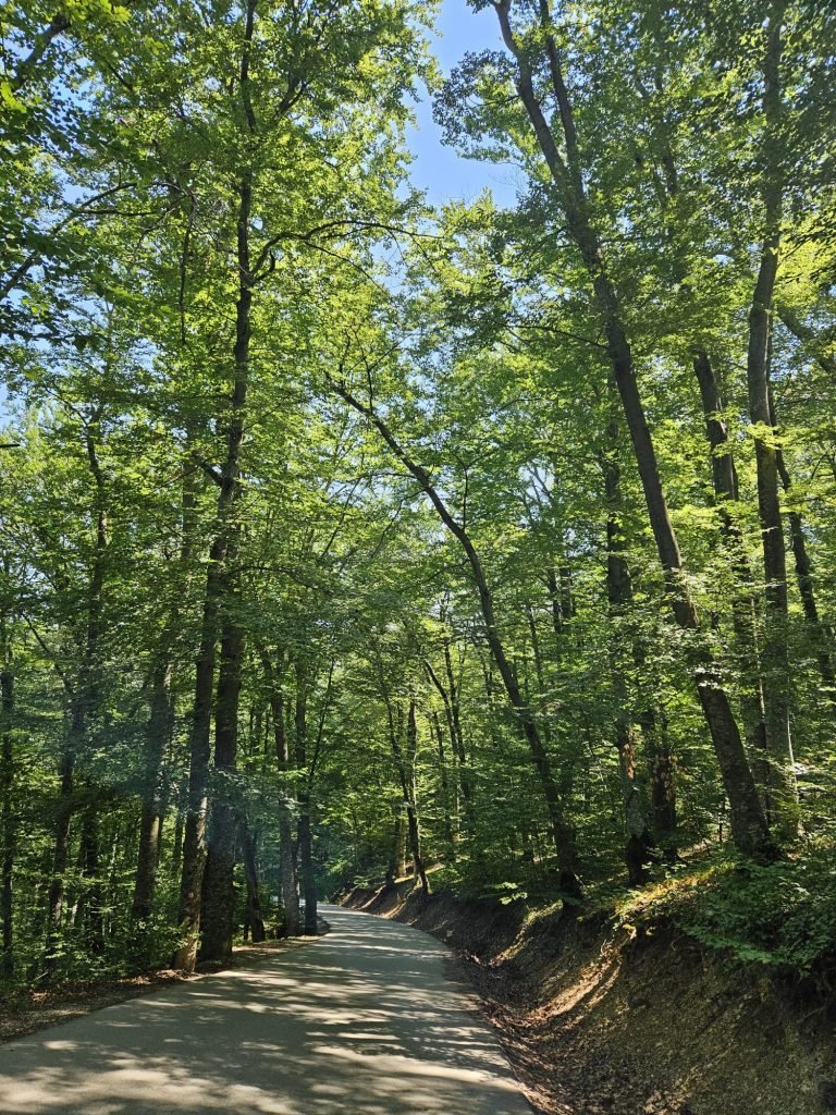 park