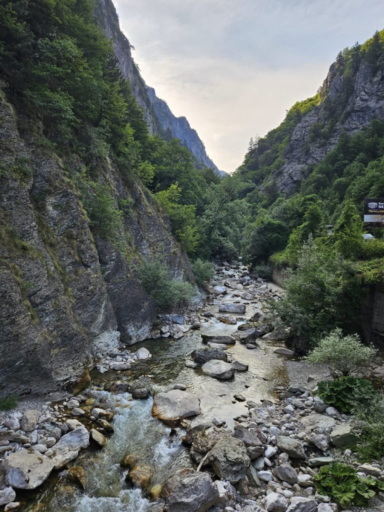 Peja