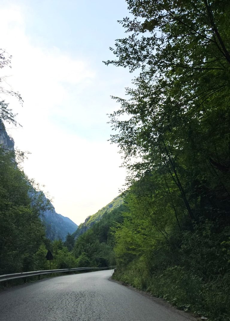 peja