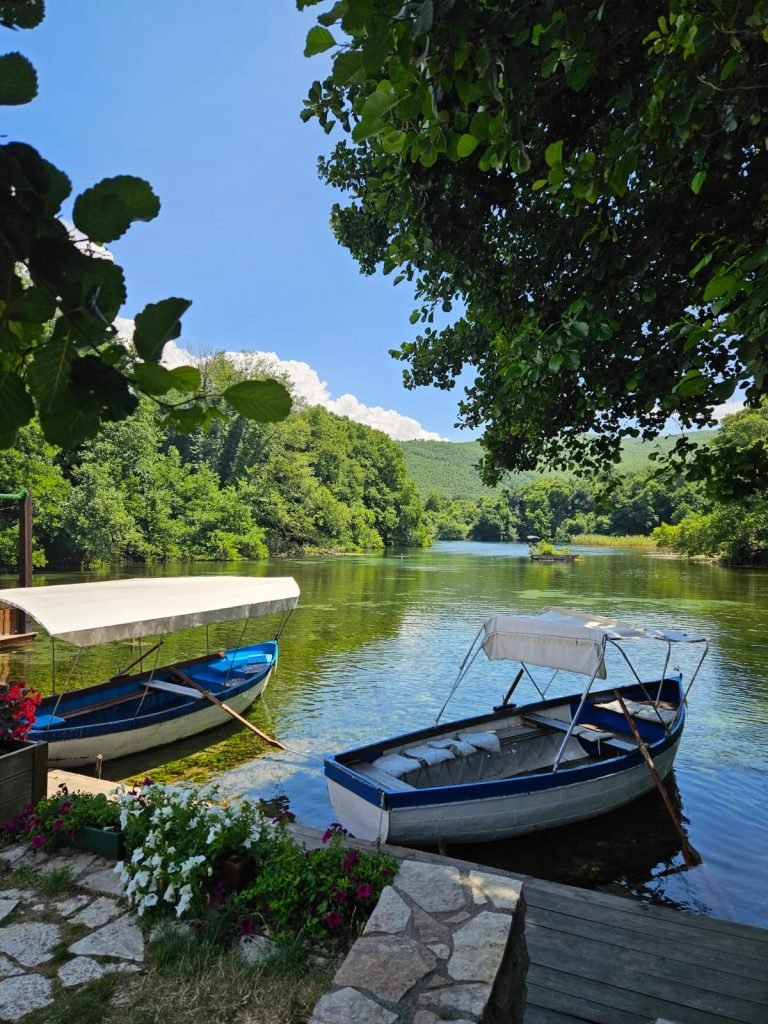 boats