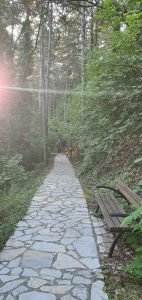 trail
