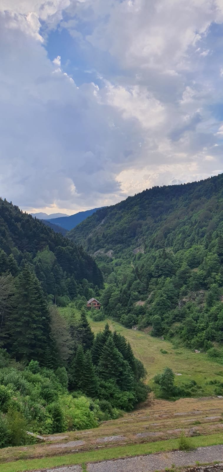 Mountains