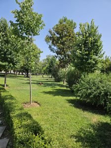 park