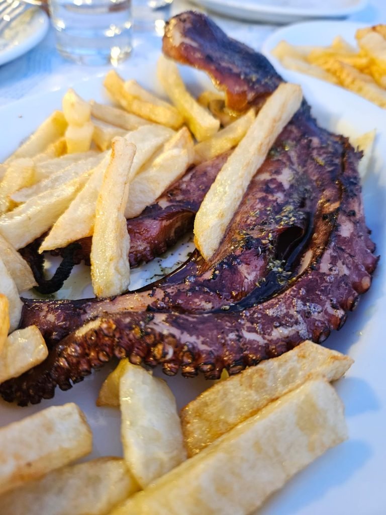 octopus
