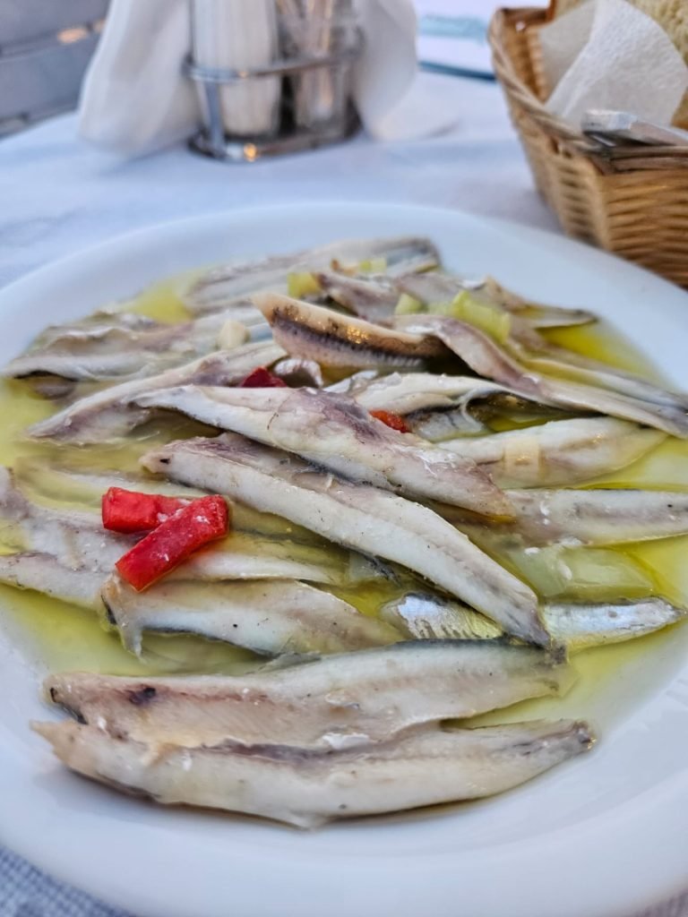 anchovy