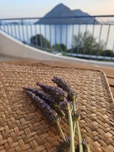Lavender