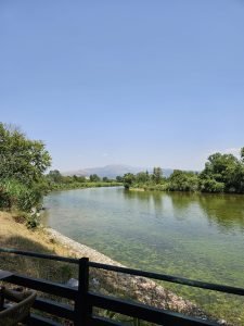 Arta river