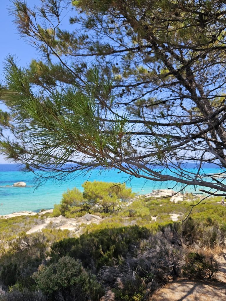 Halkidiki