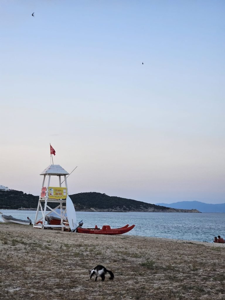 Sarti