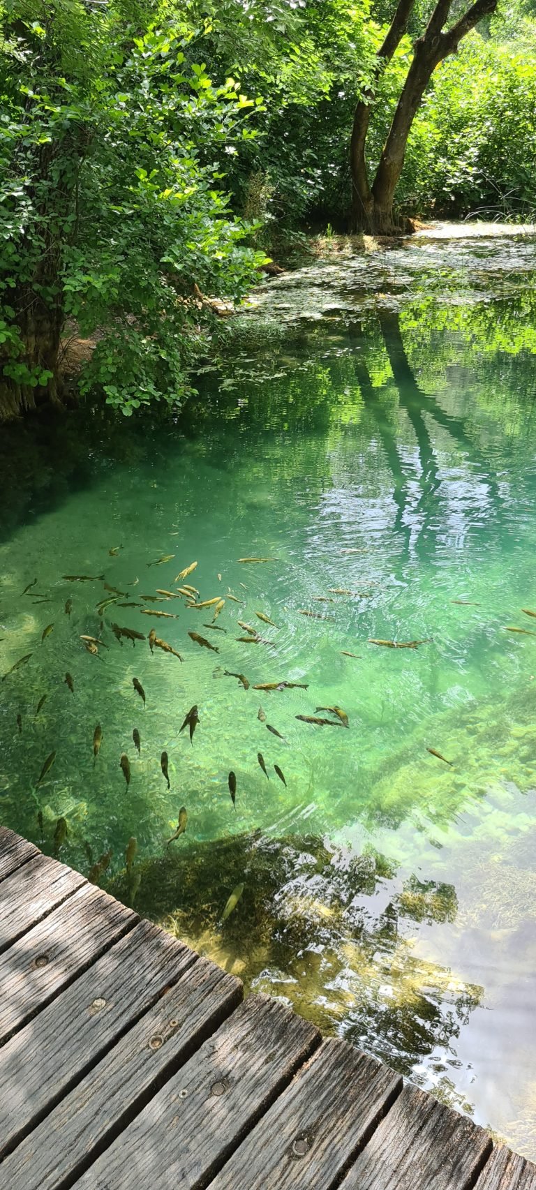 krka_National_park
