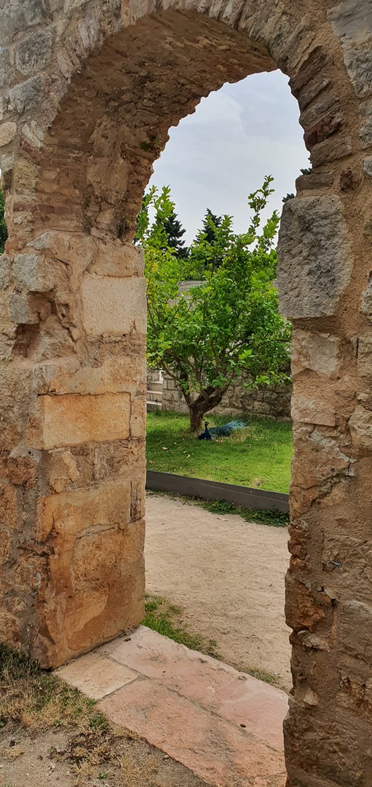 Lokrum_Monastery