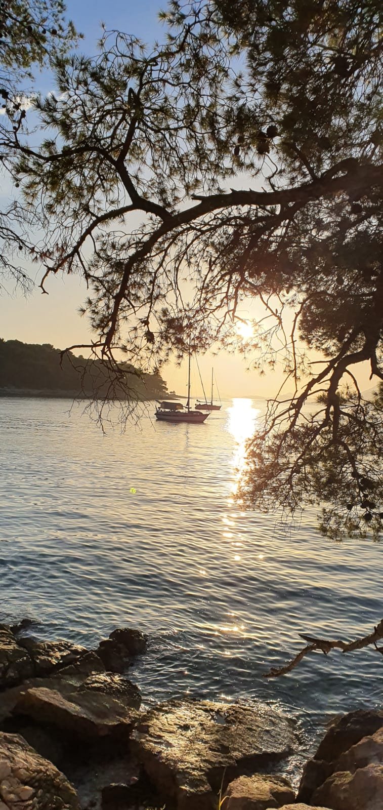 cavtat