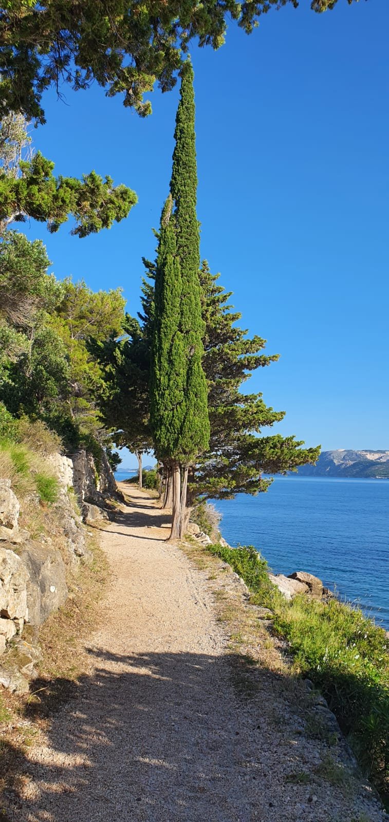 Cavtat_trail
