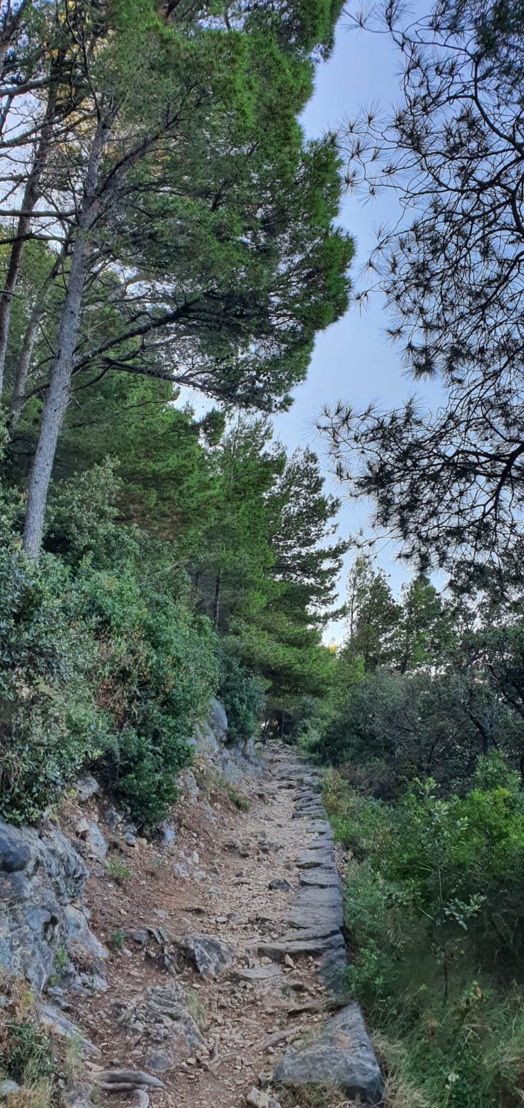 trail