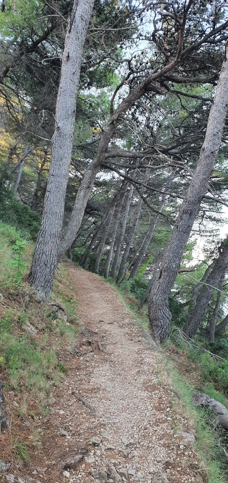 trail