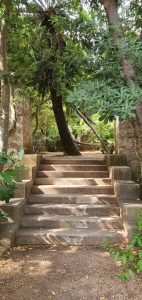 stairs