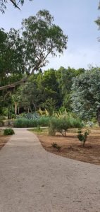 botanical garden