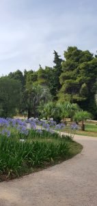 botanical garden