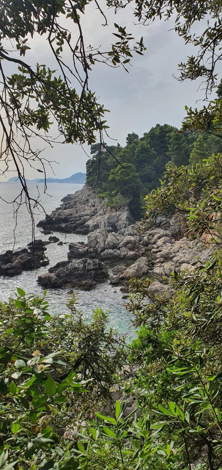 sea view