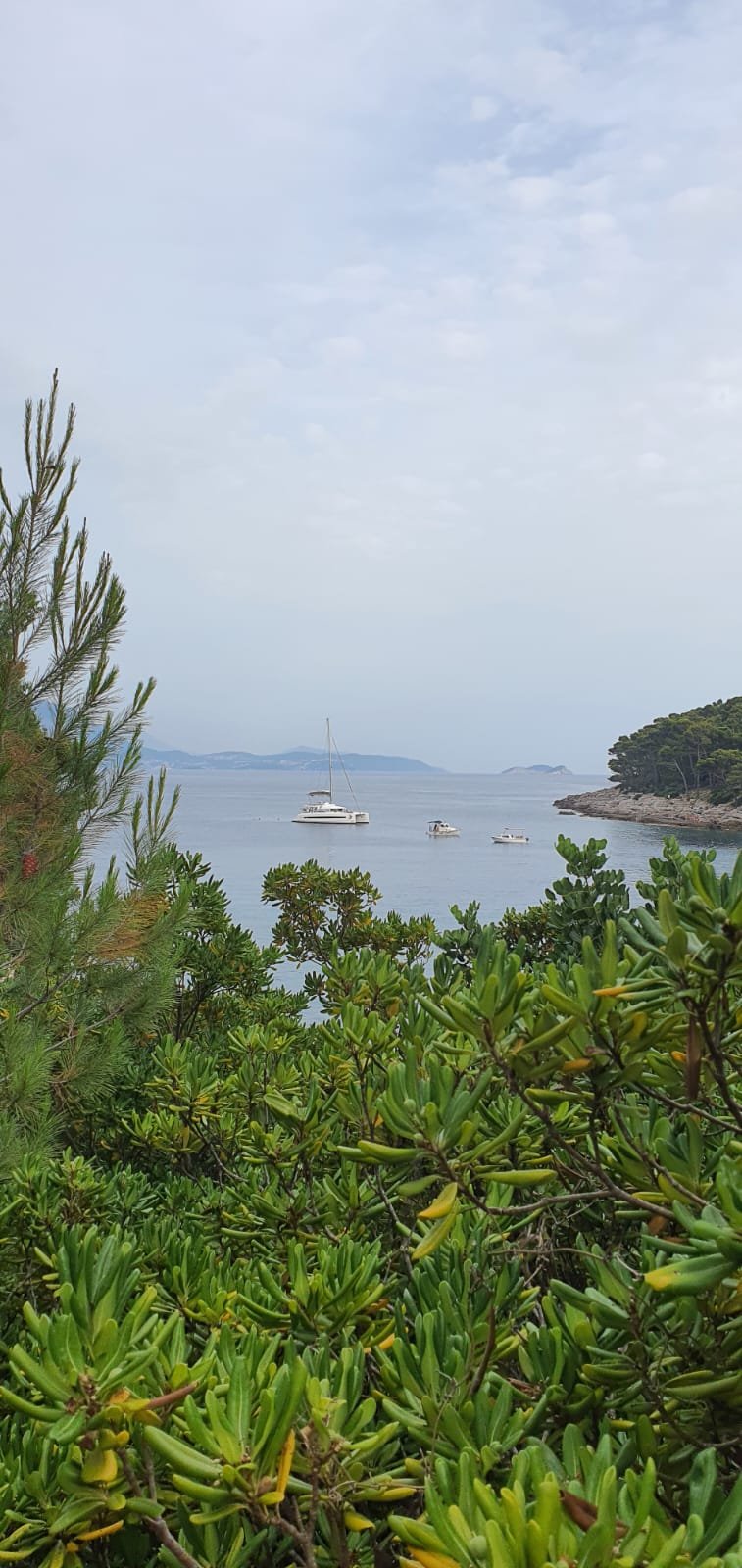 sea view