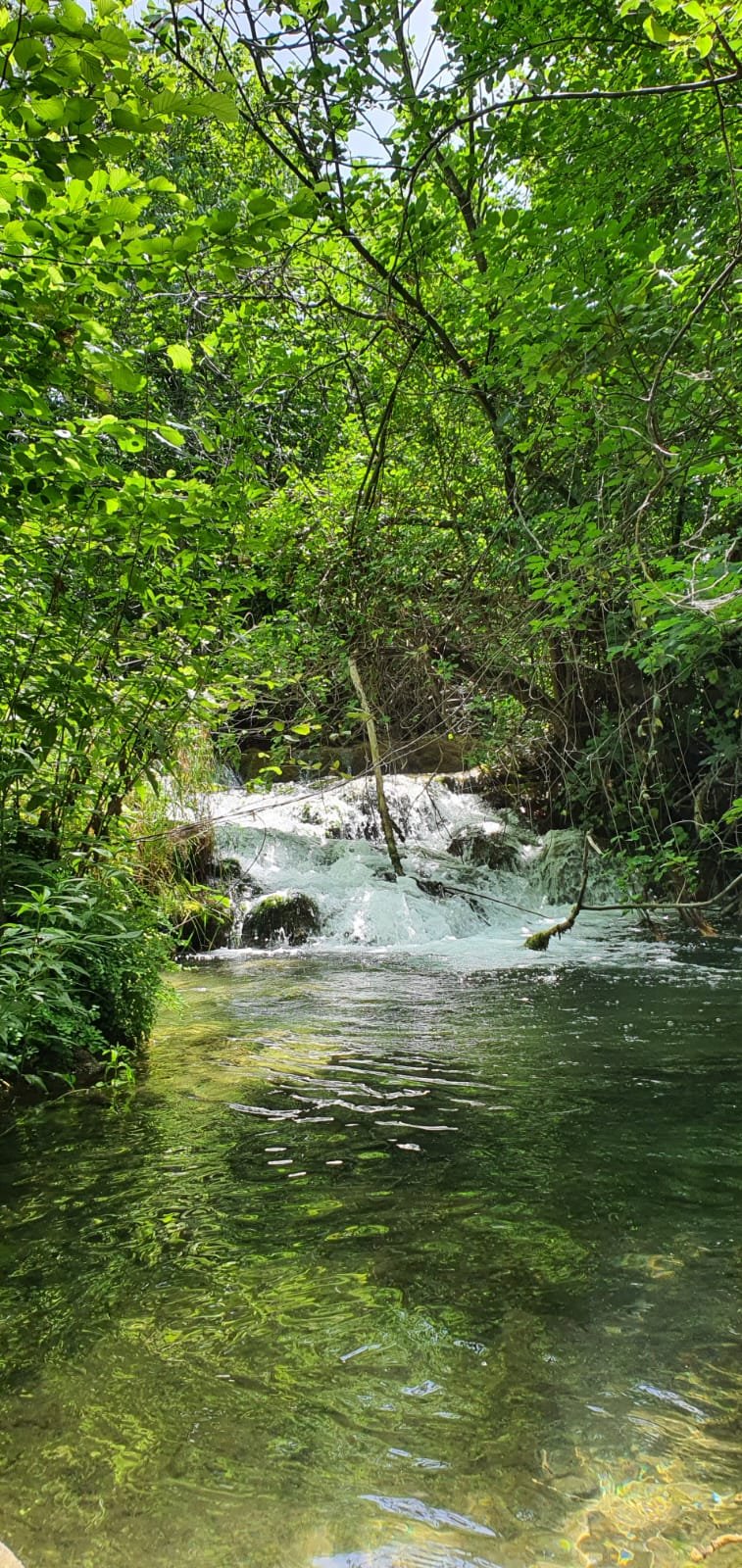 krka