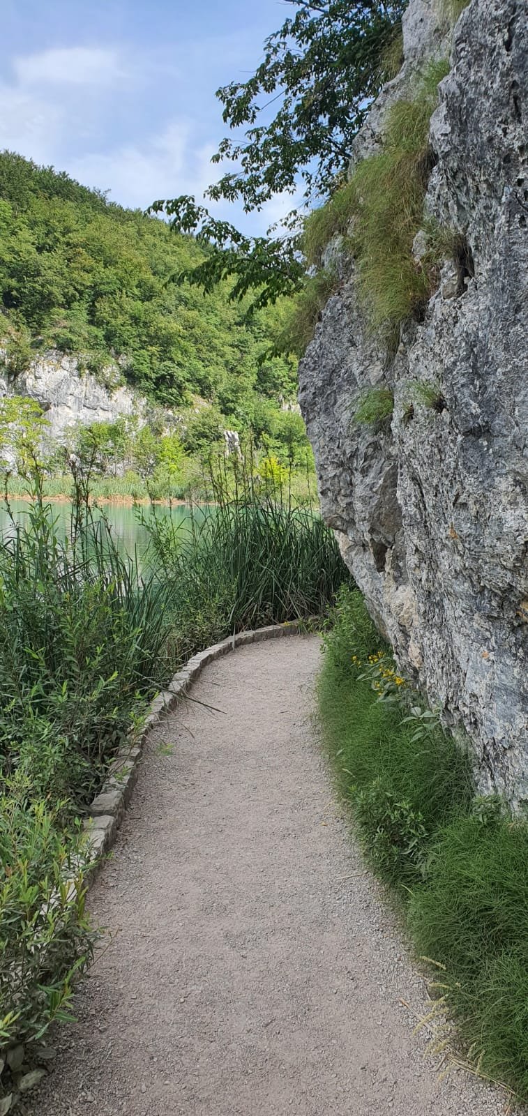 trail