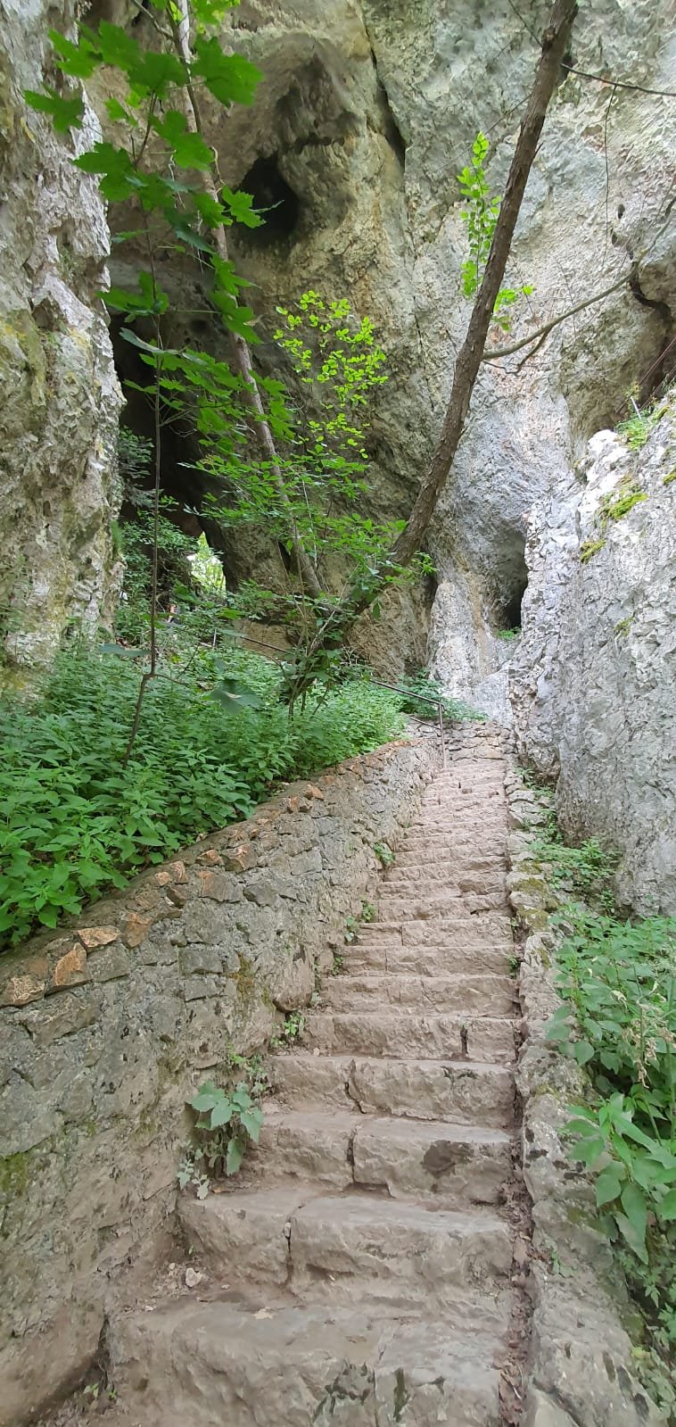 stairs